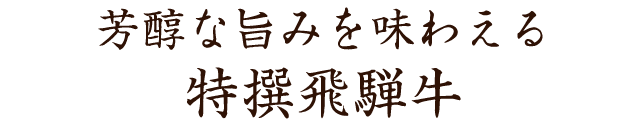 特撰飛騨牛